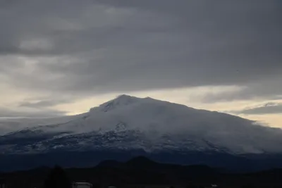 DSC_2617 (Large).JPG